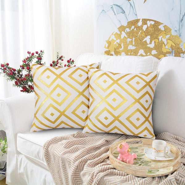 China Valvet Cushion Cover - Design 46